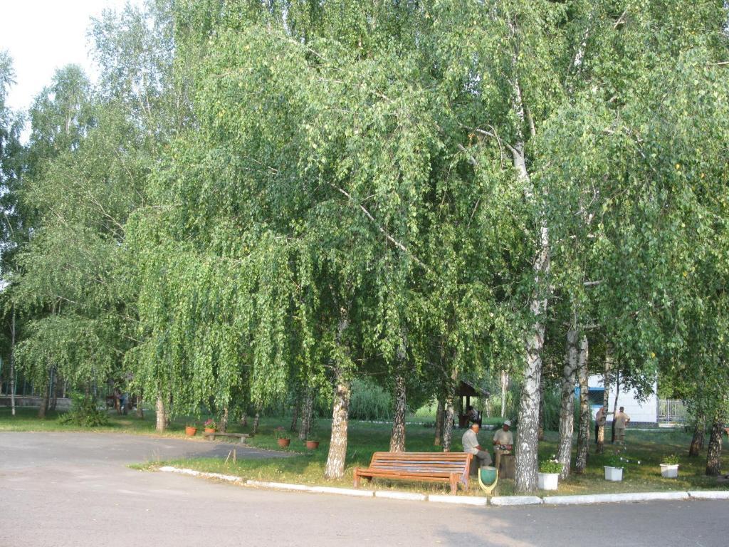 Psyol Health Resort Velyka Bahachka Exterior foto